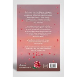 Eres el amor de mi otra vida